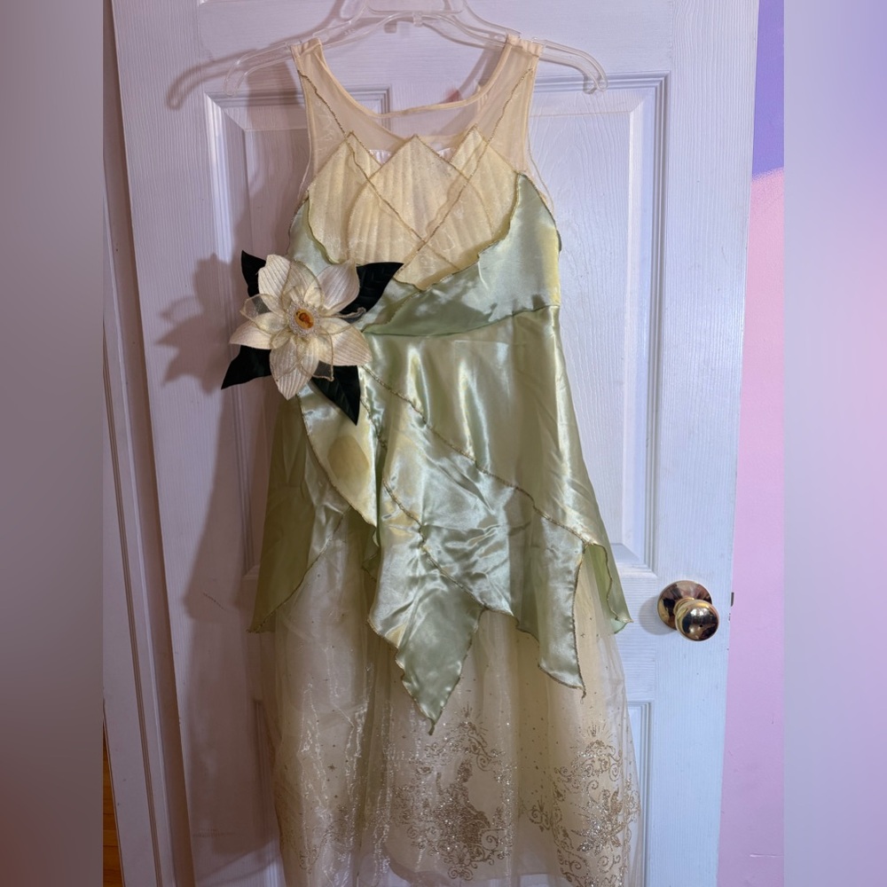 Original Issue Disney Store Tiana Costume